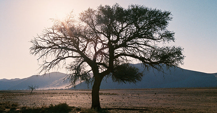 JON O’HANLON: ADVENTURES ACROSS THE NAMIB PART 4