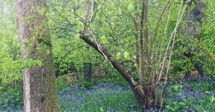 Running adventures - they may be closer than you think