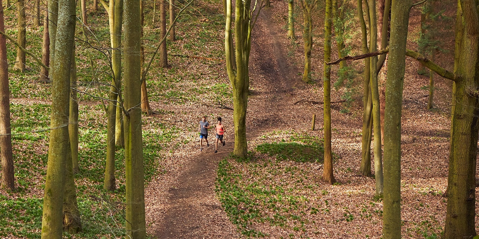The Beginner's Guide to Trail Running