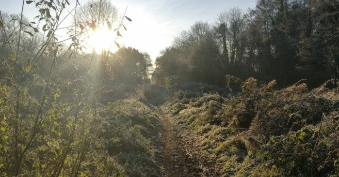 Baby it’s still cold outside…