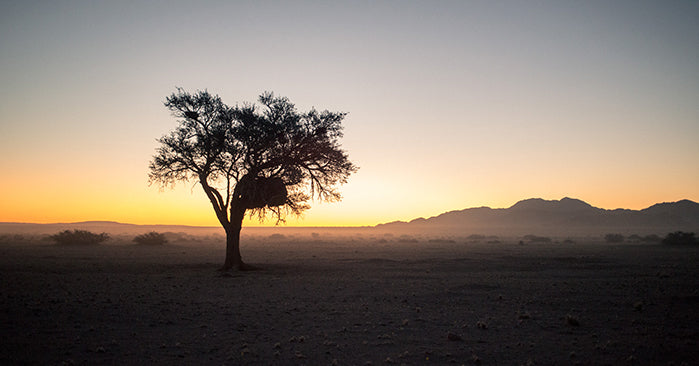 JON O’HANLON: ADVENTURES ACROSS THE NAMIB PART 5 - Success and Performance